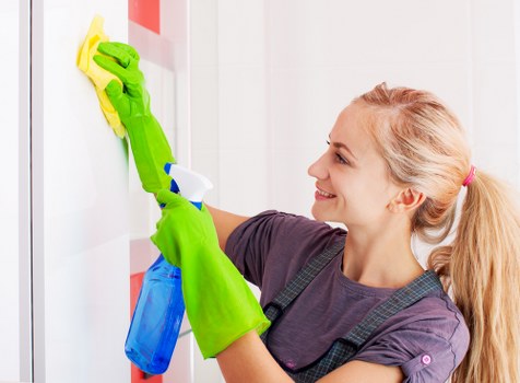 Professional hard floor cleaning in a W1J entrance hall