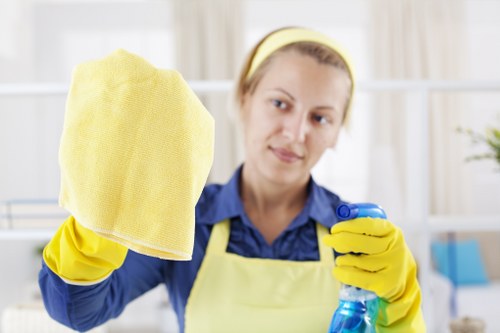 Professional house cleaning for a central London apartment in W1J