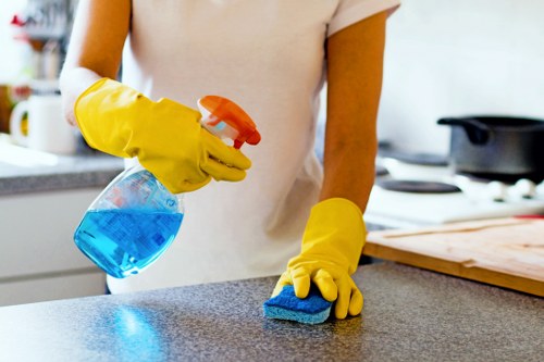 Professional mattress cleaning service for a W1J home bedroom