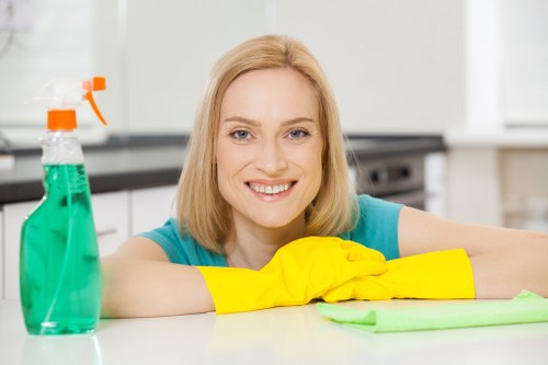 Cleaning service for lift lobby and shared corridor areas in W1J