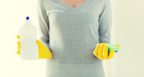 Technician assessing pet stain and odour issues in a central London home