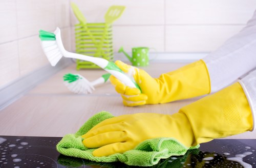 Professional deep clean for a central London apartment in W1J including bathroom and fixtures