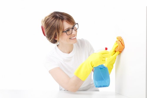 Careful window cleaning for a managed building in W1J