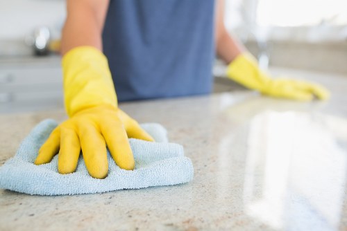 Detailed bathroom cleaning for a W1J move-in service