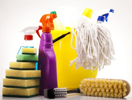 Local pet stain cleaning service for flats and businesses in W1J
