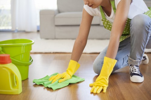 Detailed deep cleaning service for a W1J property with floors, skirting, and high-touch surfaces