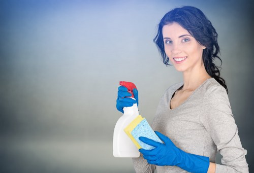 Professional domestic cleaning in a W1J residential property